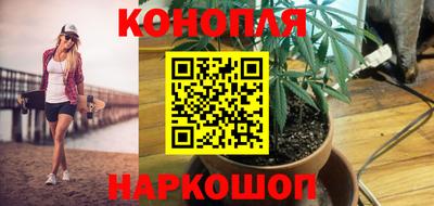 гидропоника Кингисепп