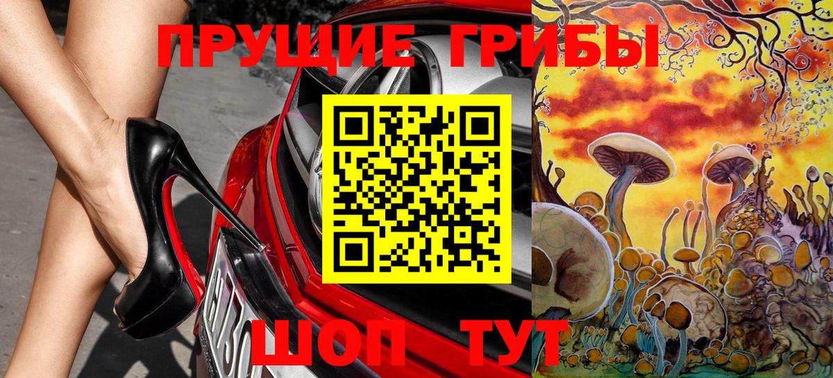 Псилоцибиновые грибы мицелий  Псилоцибиновые грибы GOLDEN TEACHER  Вход с VPN  Бирск 